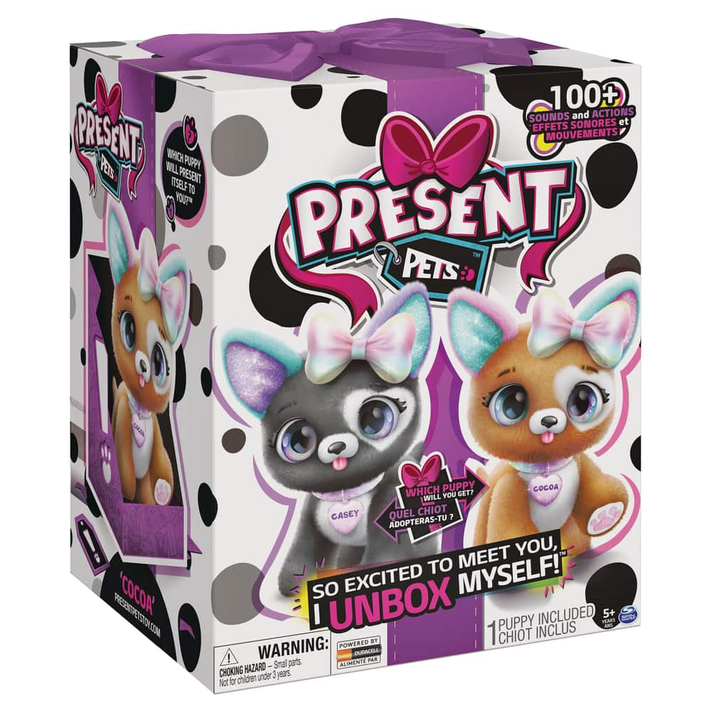 pet present toy