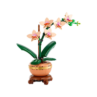 LEGO Botanicals, Petit bouquet ensoleillé, 10343 Front_Flat