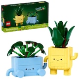 Les plantes radieuses LEGO Botanicals 10349 Composite_or_Mixed