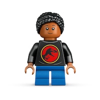 Lego Dinosaur 76969 Building Set Front_Flat
