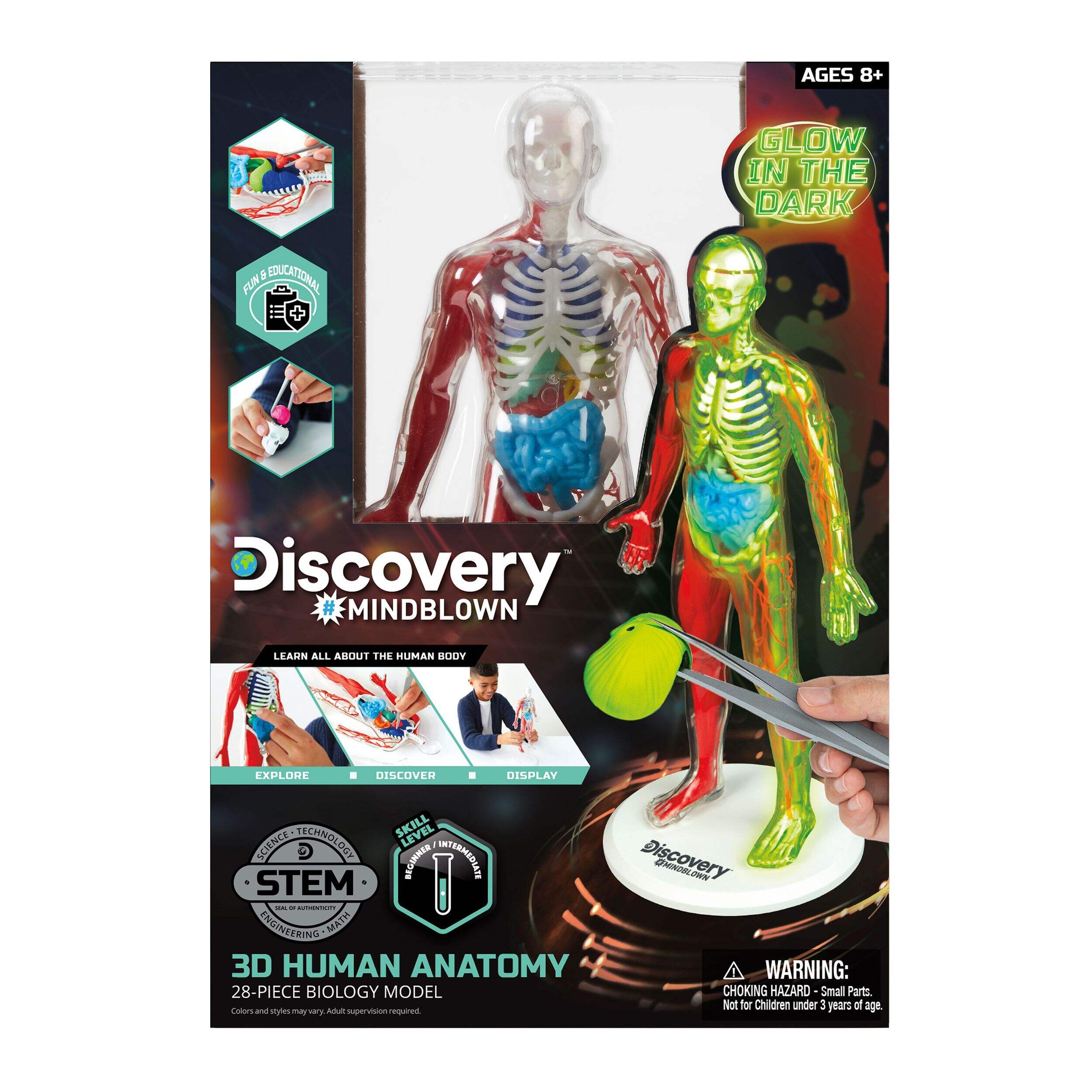 Discovery Toy Glow-in-the-Dark 3D Anatomy Human Kit for Kids, Ages 8+ Front_Flat