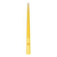 Disney Wish Asha's Feature Wand, One Size, Wearable Costume Prop for Birthdays/Halloween, Kids Ages 3+ Front_Flat