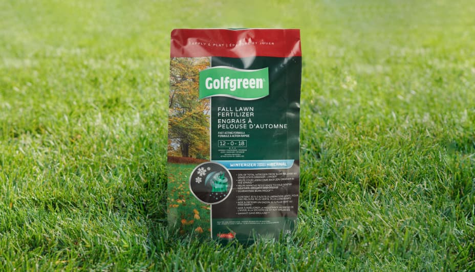 Two bags of Golfgreen Nitrogrow lawn care products rest on a lawn.