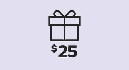 Gifts under $25