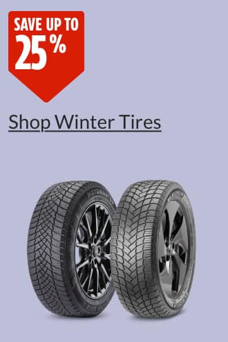 Michelin X-Ice SNOW Winter Tire  MotoMaster Winter Edge II Tire