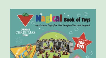 MAGICAL BOOK OF TOYS