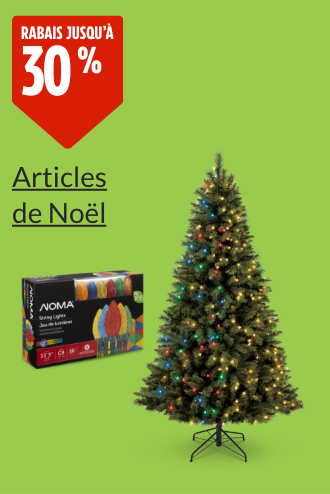 Découvrez les aubaines sur les articles de Noël.