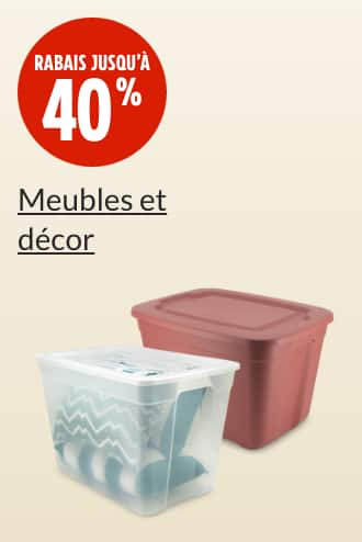 Bac de rangement transparent Type A, 72 L  Bac de rangement Type A Restore, 68 L