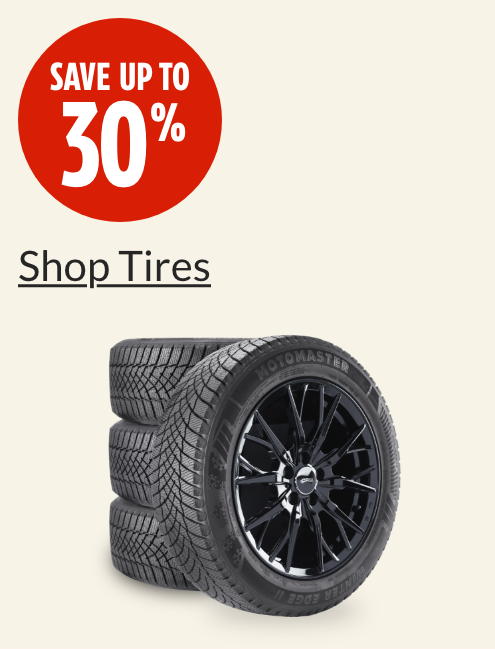 Save up to 30%  MotoMaster Winter Edge II Tire