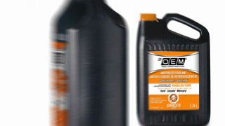 Image de l'article 12 sur 12