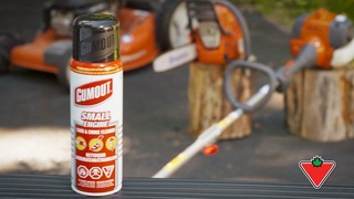 Image de l'article 5 sur 5