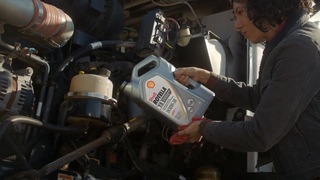 Image de l'article 6 sur 6