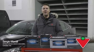 Image de l'article 11 sur 11