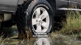 Image de l'article 16 sur 16