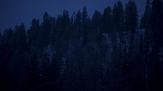 Image de l'article 2 sur 3