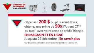 Image de l'article 16 sur 17