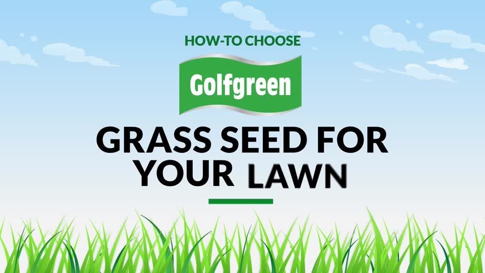 Golfgreen NitroGROW Sun & Shade NitrogenEnriched Grass Seed